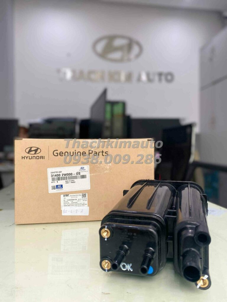 Hộp thu hơi xăng Hyundai SantaFe 2012-2015 - Ảnh 2