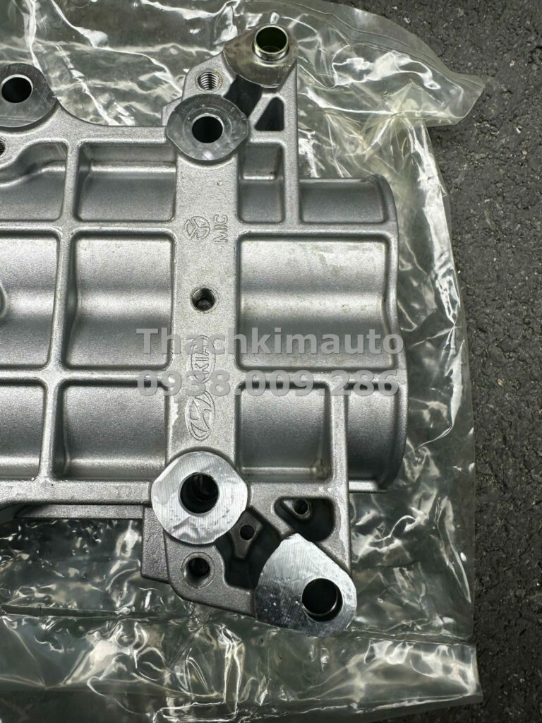 Cụm trục cân bằng Hyundai Santafe 2014 – 2020 - Ảnh 4