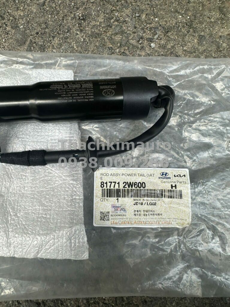 Ben ga cửa hậu Hyundai Santafe 2012 - 2018 - Ảnh 7