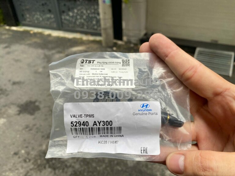 Cảm biến áp suất lốp Hyundai Accent 2024 - Ảnh 3