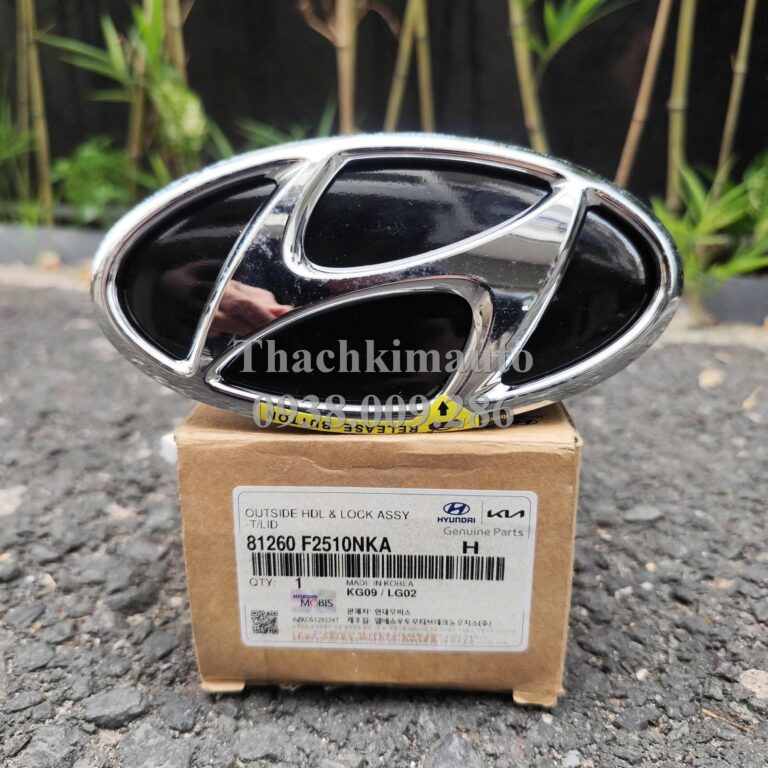 Tay mở cửa hậu Hyundai Elantra 2019